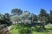 property 14 Rooms for sale on ARLES (13200)
